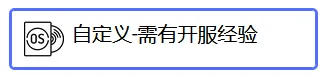 自定义-需有开服经验